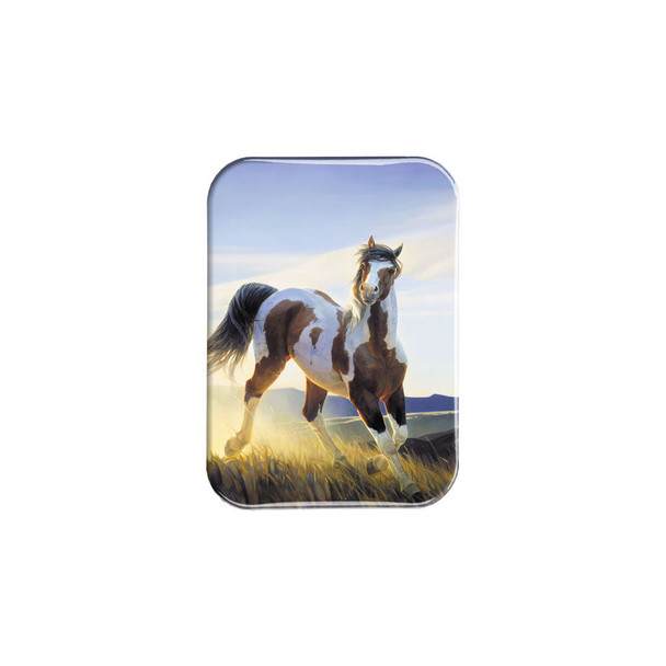 "Audacious" - 2.5" X 3.5" Rectangle Fridge Magnets