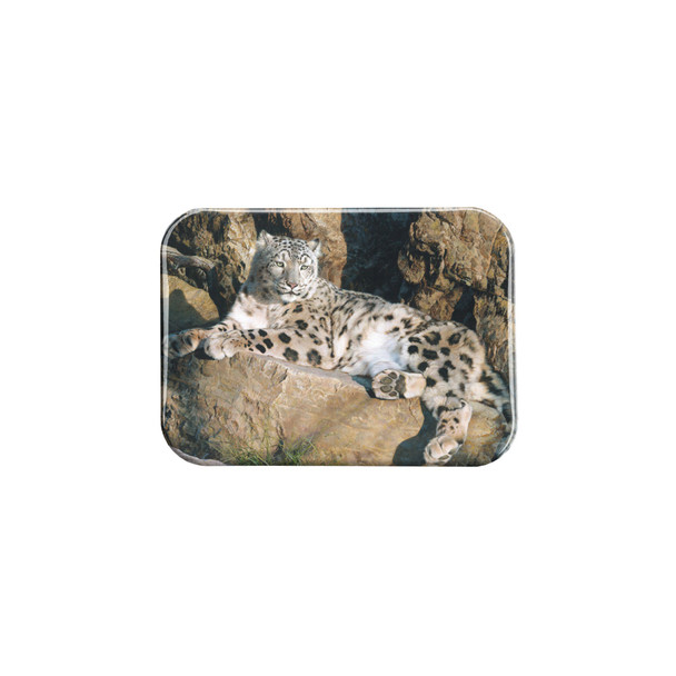 "Ghost Cat" - 2.5" X 3.5" Rectangle Fridge Magnets