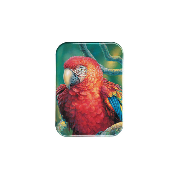 "Red Macaw" - 2.5" X 3.5" Rectangle Fridge Magnets