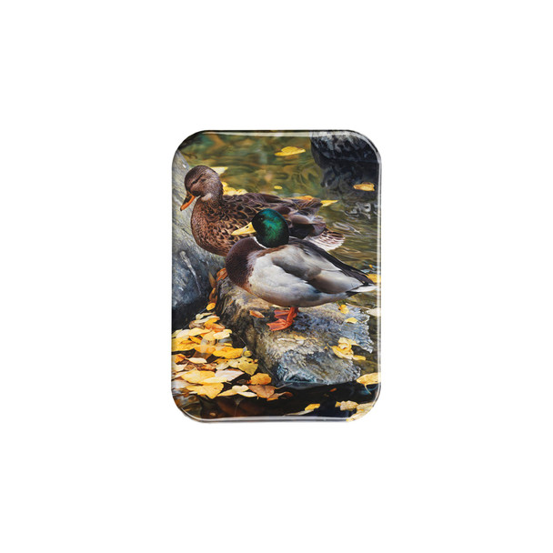 "Mallard Reflections" - 2.5" X 3.5" Rectangle Fridge Magnets