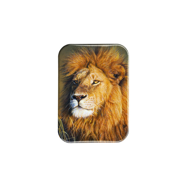 "The Sublime" - 2.5" X 3.5" Rectangle Fridge Magnets