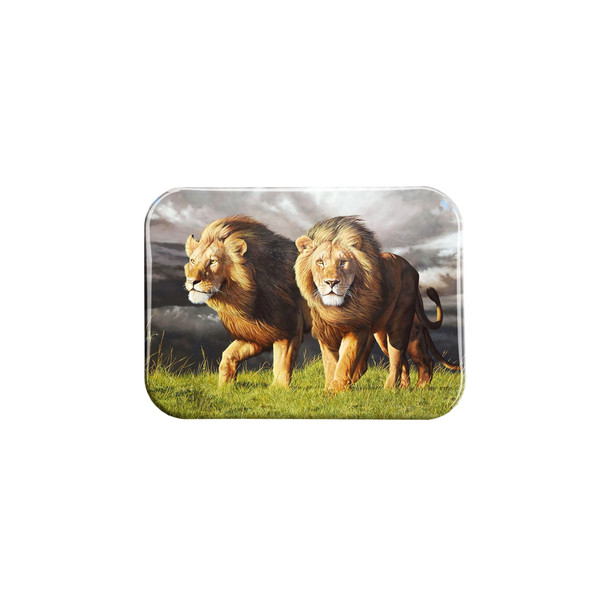 "Approaching Storm" - 2.5" X 3.5" Rectangle Fridge Magnets