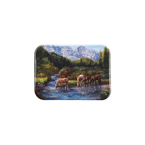 "Somewhere in Heaven" - 2.5" X 3.5" Rectangle Fridge Magnets