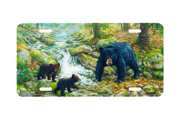 "Summers Picnic" - Decorative License Plate