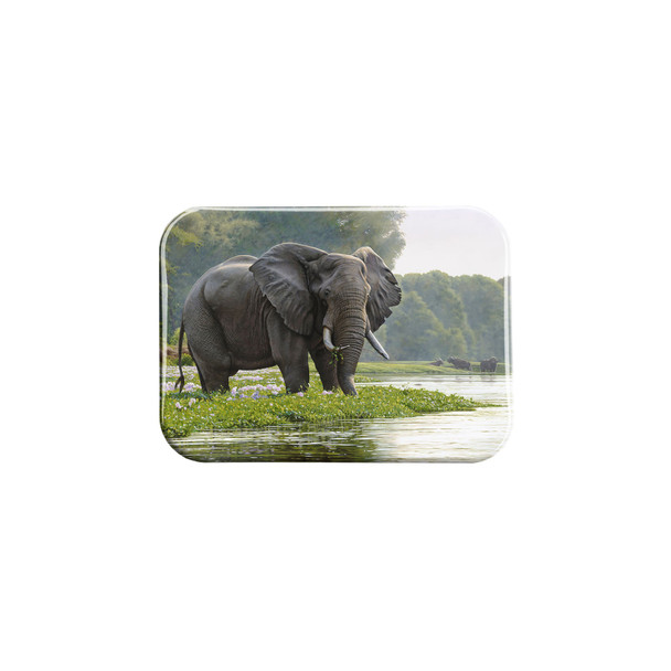 "Zambezi Morning" - 2.5" X 3.5" Rectangle Fridge Magnets