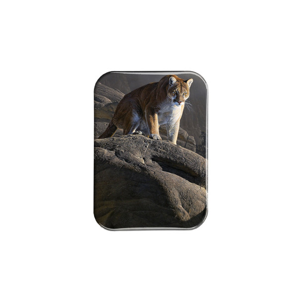 "On The Edge" - 2.5" X 3.5" Rectangle Fridge Magnets