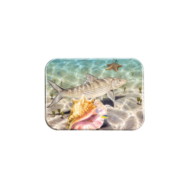 "Bonefish Conch" - 2.5" X 3.5" Rectangle Fridge Magnets