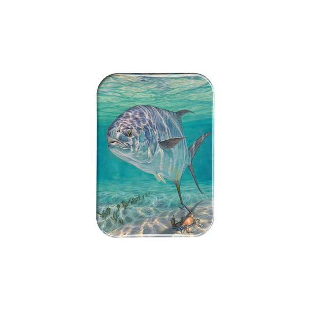 "Passing Glance" - 2.5" X 3.5" Rectangle Fridge Magnets