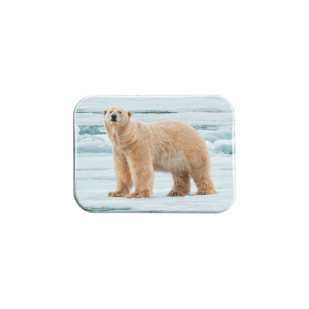 "Arctic Summer" - 2.5" X 3.5" Rectangle Fridge Magnets