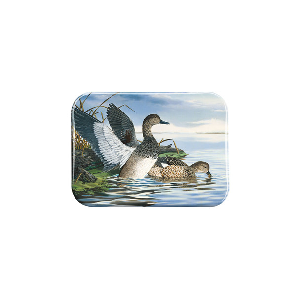 "Gadwall Playground" - 2.5" X 3.5" Rectangle Fridge Magnets
