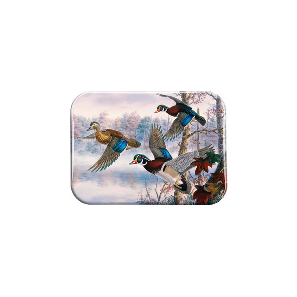 "Cruise Control" - 2.5" X 3.5" Rectangle Fridge Magnets