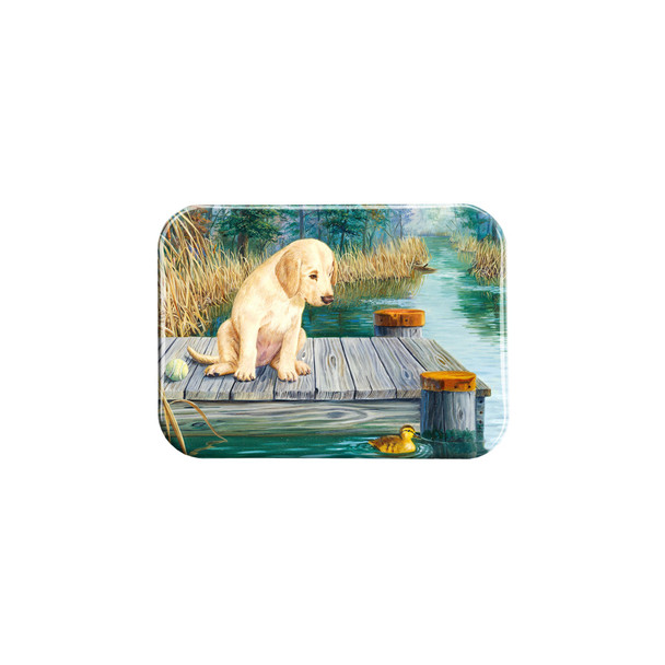 "Gaining Interest" - 2.5" X 3.5" Rectangle Fridge Magnets