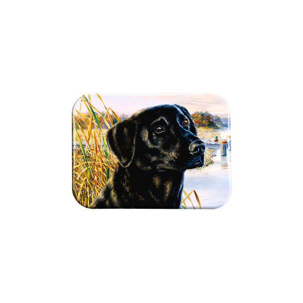 "Living On The Edge" - 2.5" X 3.5" Rectangle Fridge Magnets