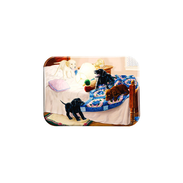 "Slumber Party" - 2.5" X 3.5" Rectangle Fridge Magnets