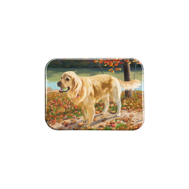 "Fun In The Sun" - 2.5" X 3.5" Rectangle Fridge Magnets