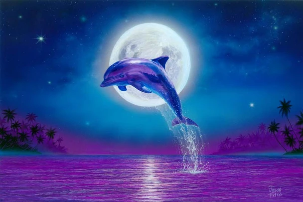 Moonlit Dolphin – Coastal Matted Art Print