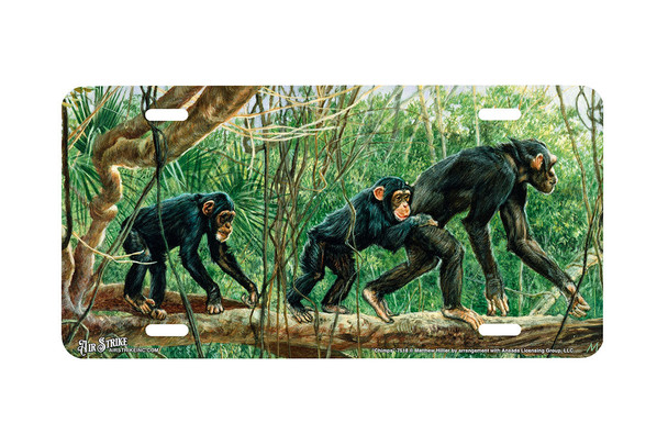 "Chimps" - Decorative License Plate
