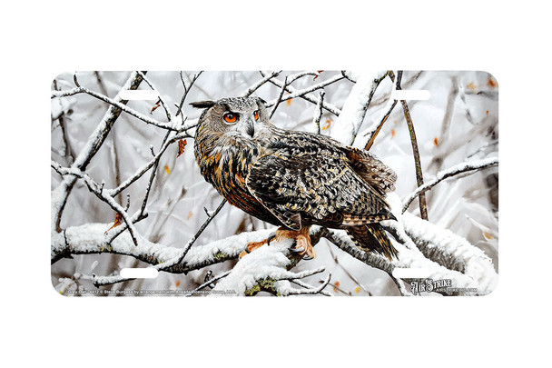 "Grey Owl"- Decorative License Plate