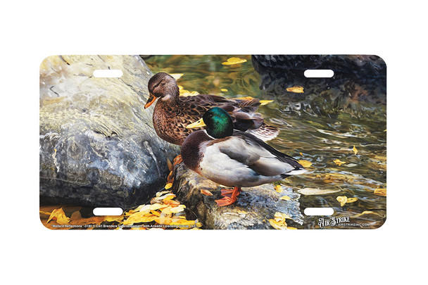"Mallard Reflections" - Decorative License Plate