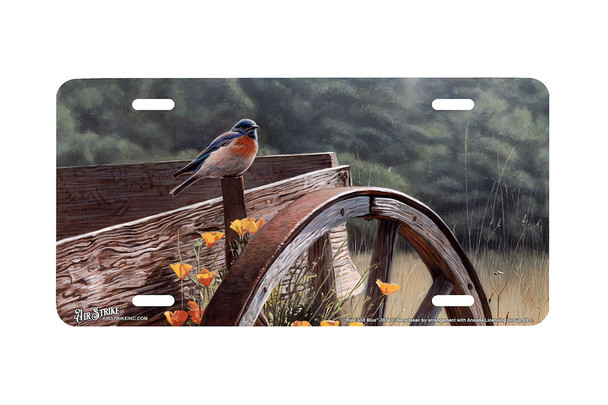 "Rust and Blue" - Decorative License Plate