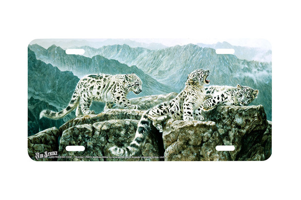 "HiJinks" - Decorative License Plate