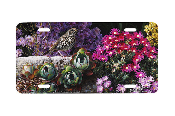 "Singer In Paradise" - Decorative License Plate