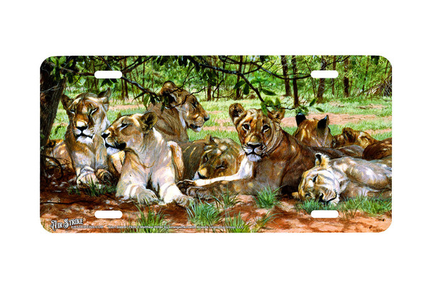 "Lion Siesta" - Decorative License Plate