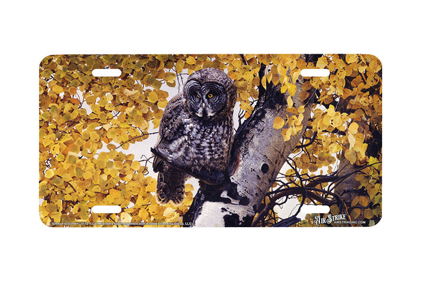 "Silence Is Golden" - Decorative License Plate