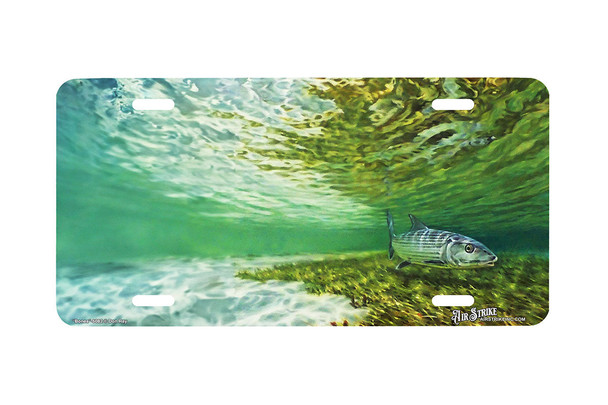 "Bones" - Decorative License Plate