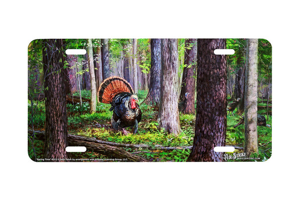 "Spring Time" - Decorative License Plate