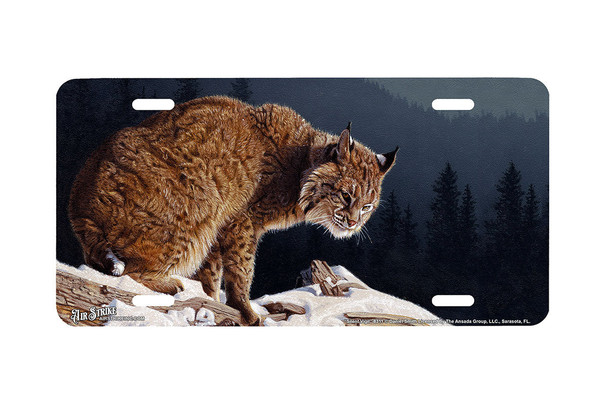 "Silent Vigil" - Decorative License Plate