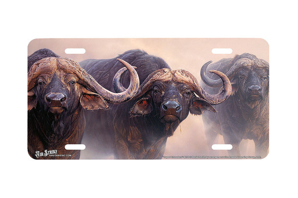 "Caped Crusaders" - Decorative License Plate