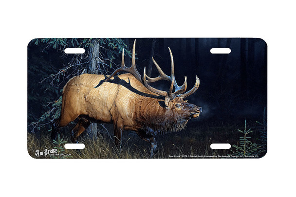 "Sun Struck" - Decorative License Plate