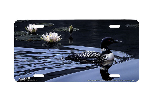 "Glidepath" - Decorative License Plate