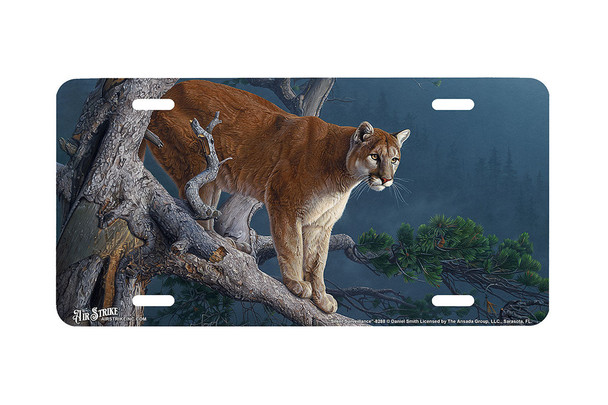 "Silent Surveillance" - Decorative License Plate