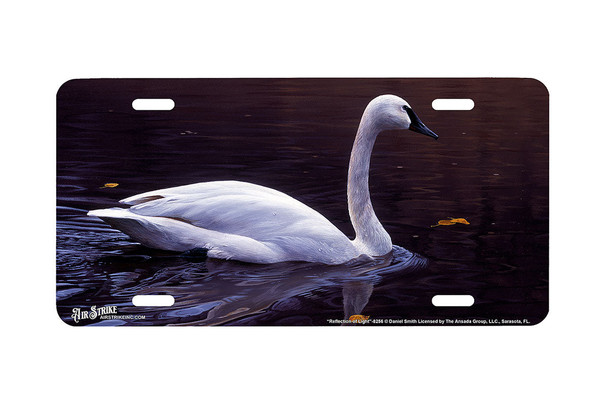 "Reflection of Light" - Decorative License Plate