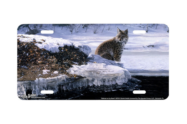 "Bobcat on Icy Bank" - Decorative License Plate
