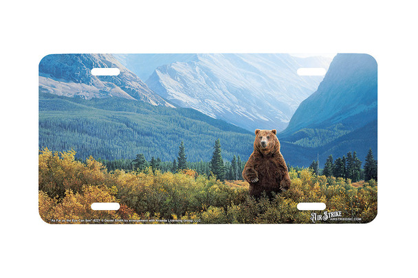 "As Far as the Eye Can See" - Decorative License Plate