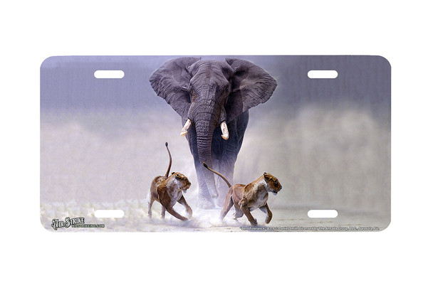 "Zero Tolerance" - Decorative License Plate