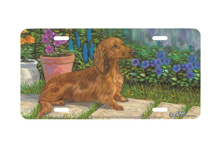 "Fluff And Flowers" - Decorative License Plate