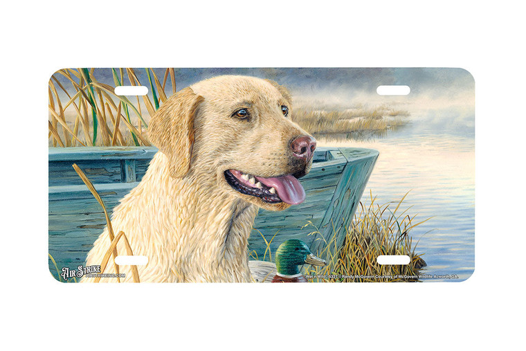 "Wet N Wild" - Decorative License Plate