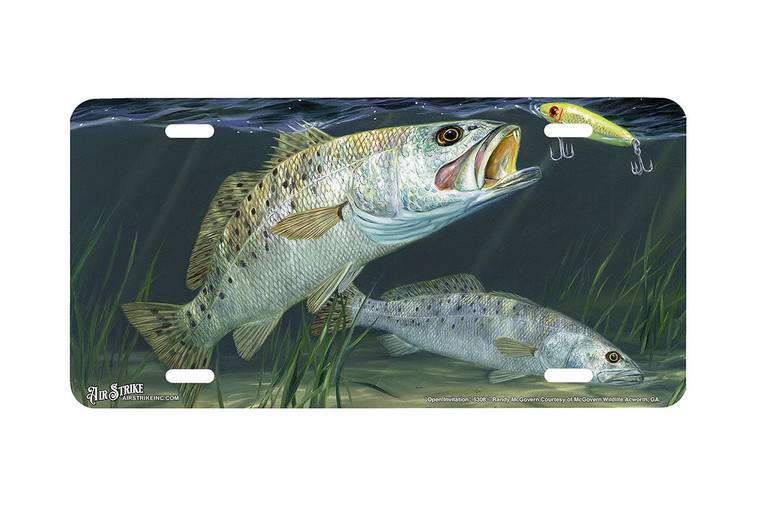 "Open Invitation" - Decorative License Plate