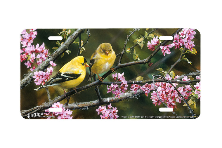 "Gleam Of Gold" - Decorative License Plate