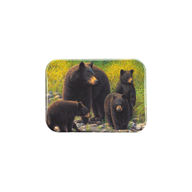 "Family Outing" - 2.5" X 3.5" Rectangle Fridge Magnets