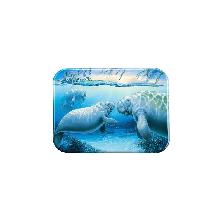 "Year Of The Manatee" - 2.5" X 3.5" Rectangle Fridge Magnets