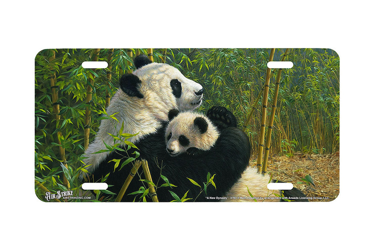 "A New Dynasty" - Decorative License Plate