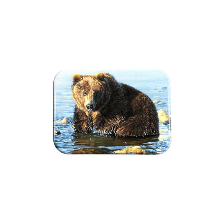 "Chill Factor" - 2.5" X 3.5" Rectangle Fridge Magnets