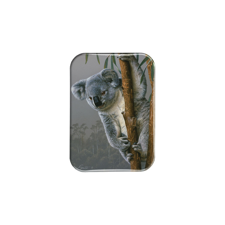 "Young Koala" - 2.5" X 3.5" Rectangle Fridge Magnets