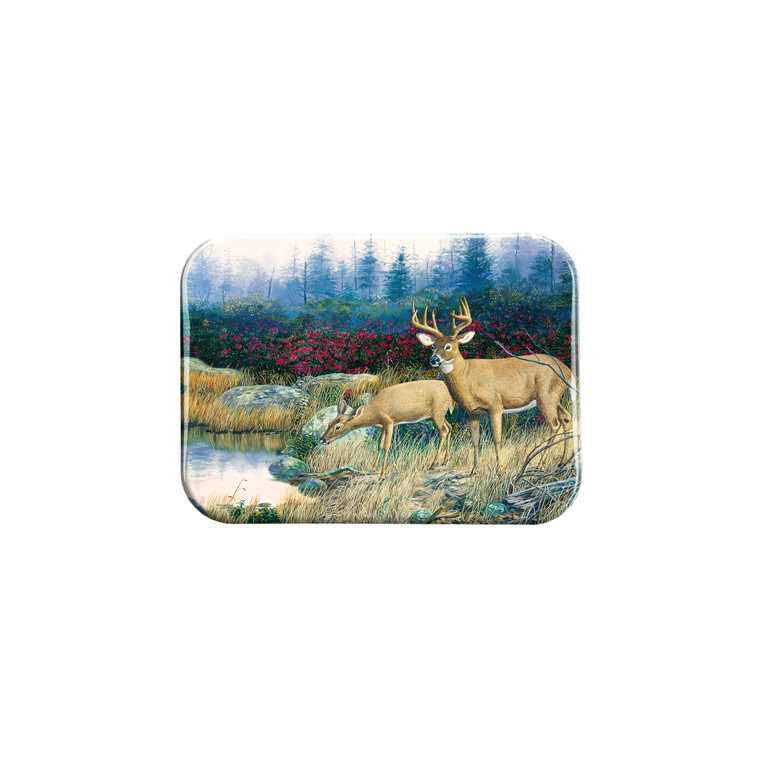 "Middle Of Nowhere" - 2.5" X 3.5" Rectangle Fridge Magnets