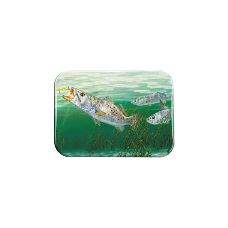 "Fast Lane" - 2.5" X 3.5" Rectangle Fridge Magnets